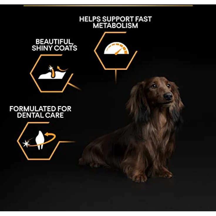 PURINA PRO PLAN Small & Mini Adult Everyday Nutrition, Trockenfutter für kleine Hunde, Sparpaket 2 x 7 kg, mit Huhn und Omega-3-Fettsäuren – Bild 6
