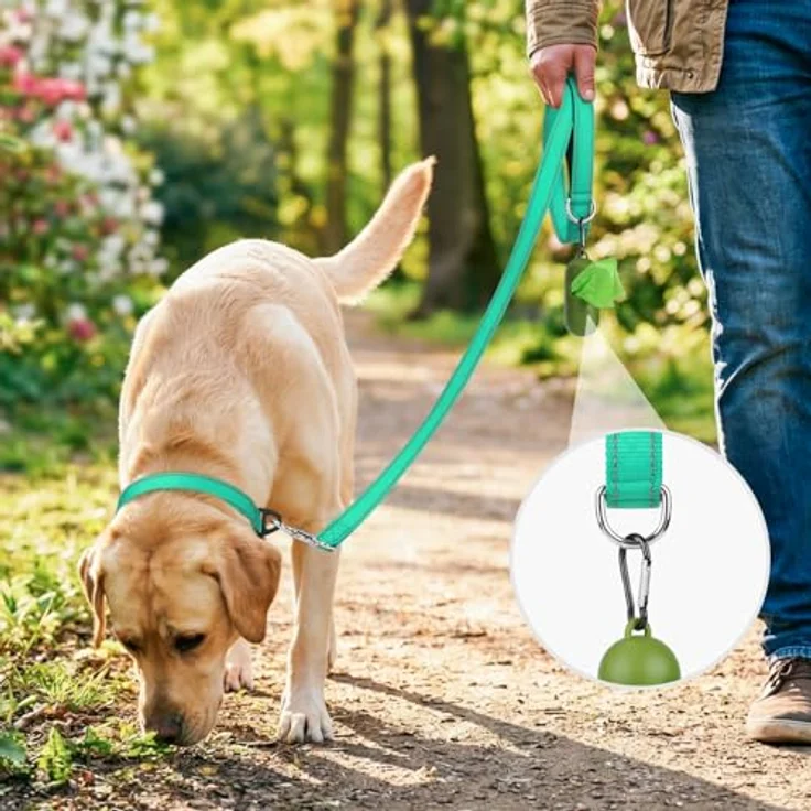 Joytale Hundeleine für kleine Hunde, 1,2m x 2cm, leicht, doppelseitig reflektierend, Nylon mit gepolstertem Griff, türkise Farbe – Bild 2