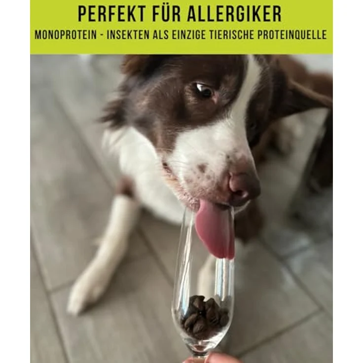 Tales & Tails InSektempfang Halbfeuchtes Trockenfutter für Hunde, Getreidefrei, 53% Insekten, 8 Zutaten, Hohe Verträglichkeit, 3x 4kg – Bild 5
