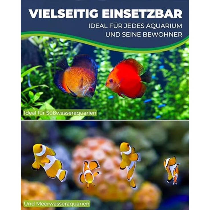 HOBBY Aquaristik Zeolith I 500g, Naturreines Filtermaterial für Süß- & Meerwasseraquarien, gegen Ammonium & Algenwachstum, biologische Wasseraufbereitung – Bild 5