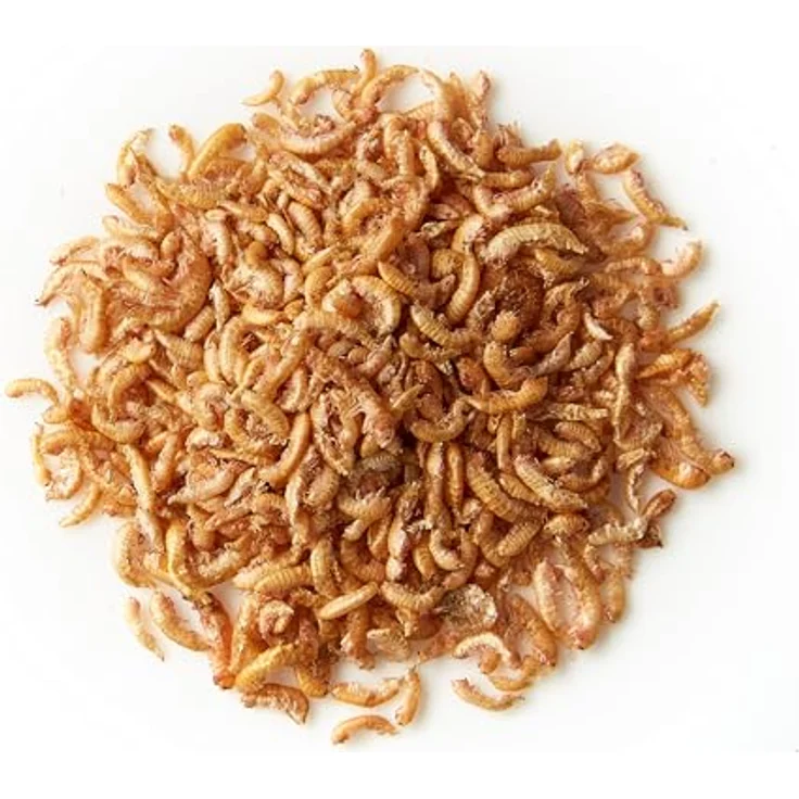 KOIPON Shrimps 2,5 L, getrocknetes Süßwassergarnelen-Naturfutter für Koi mit hohem Proteingehalt zur Verbesserung der Farbintensität und Gesundheit – Bild 4