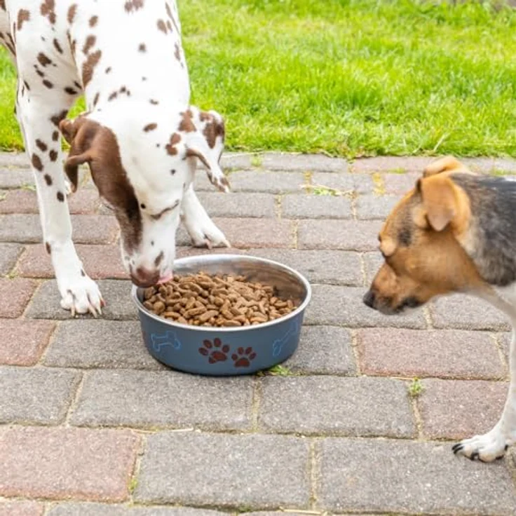 deuka 15 kg Dog Sensikost Hundefutter, getreide- und glutenfrei mit Enten und Kartoffeln – Bild 3