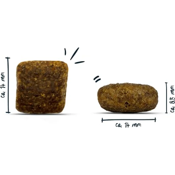 bosch HPC PLUS Forelle & Kartoffel, Hundetrockenfutter für ausgewachsene Hunde, Grain-Free, Single Protein, 2.5 kg – Bild 3