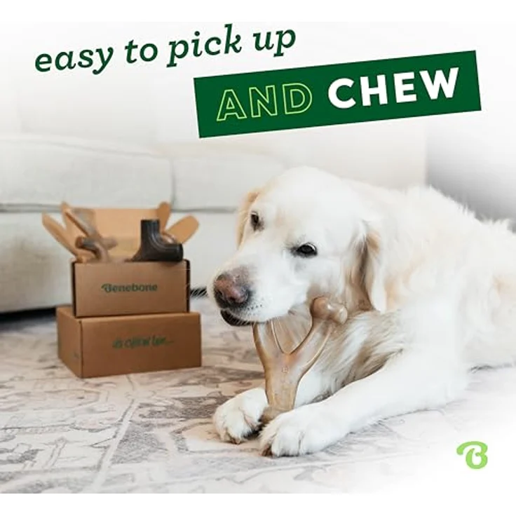 Benebone Durable Dog Chew Toy Box, 4-teiliges Set für aggressive Kaucher mit Wishbone, Fishbone, Stick & Zaggler, Medium – Bild 2