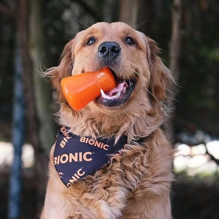 BIONIC Treat Shaker, Hundespielzeug aus robustem Gummi, medium – Bild 3