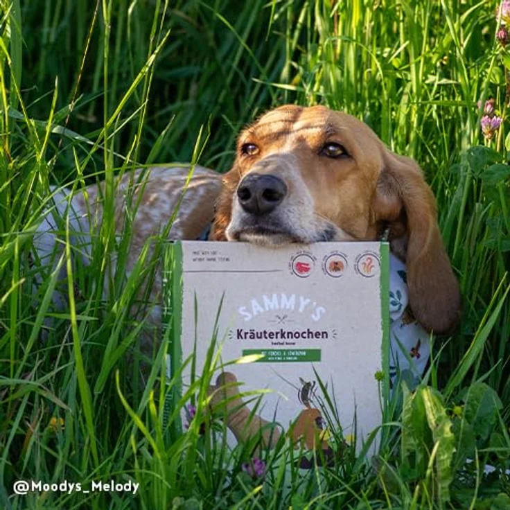 Bosch Sammy´s Kräuterknochen 5kg, schonend gebacken mit feinem Lamm für sensible Hunde – Bild 5