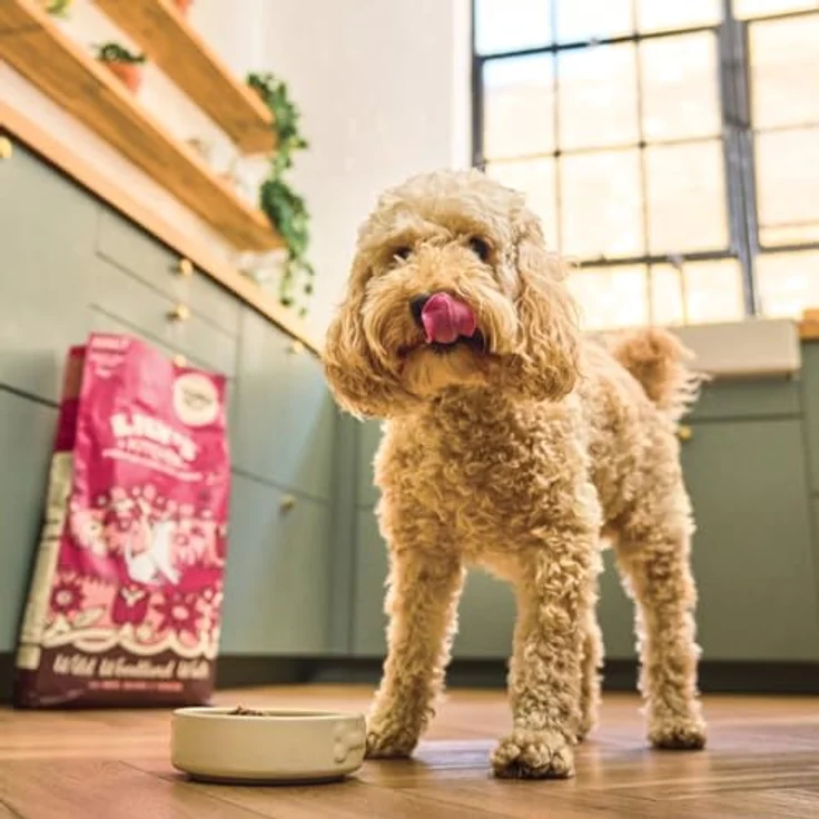 Lily's Kitchen Trockenfutter für ausgewachsene Hunde, Ente, Lachs & Hirsch, getreidefreie Rezeptur, 2.5kg – Bild 4