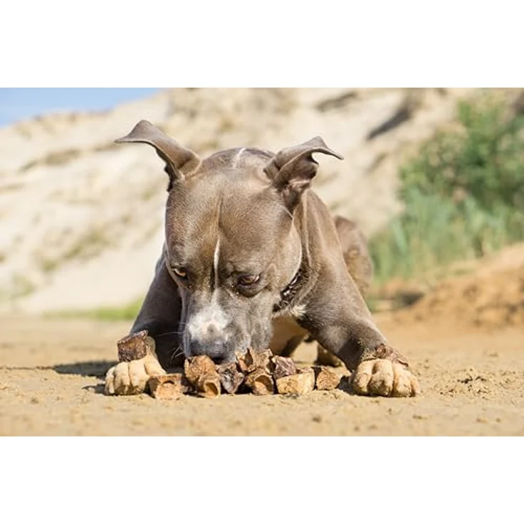 mascota vital Getrocknete Lamm-Lungenwürfel für Hunde, natürlicher Snack 100% Lamm, leicht & gut verträglich, schonend getrocknet, ohne Zusatzstoffe – Bild 2