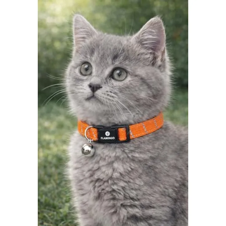 Flamingo Katzenhalsband Kitten Elza, elastisches Nylon reflektierend, 15–22 cm, orange mit Glöckchen