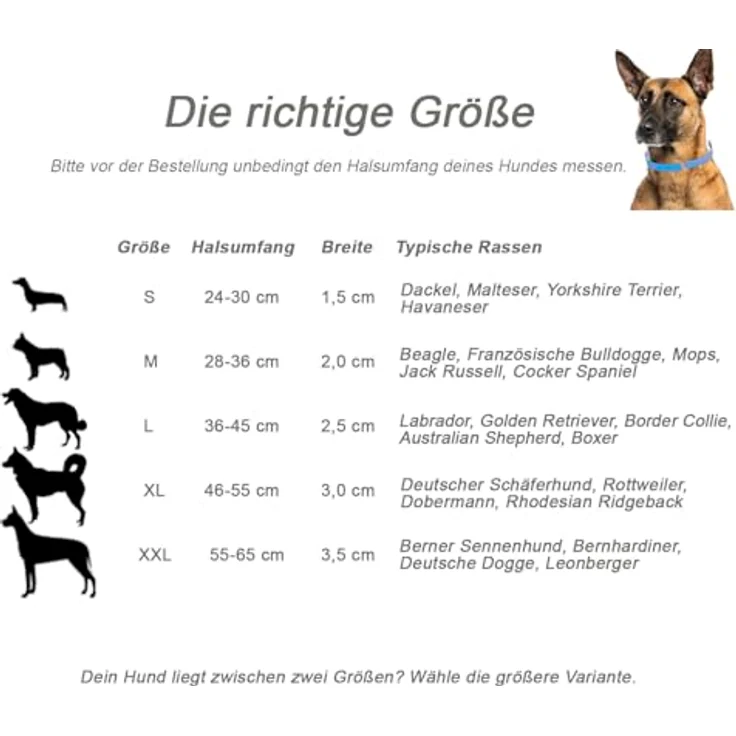 Schnüffelfreunde Lederhalsband für Hunde, gepolstert und robust, Größe XXL (55-65cm), Schwarz – Bild 5