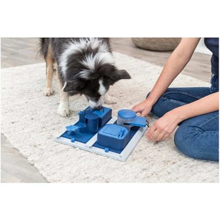 Trixie Dog Activity Strategiespiel Poker Box 2 – Bild 3