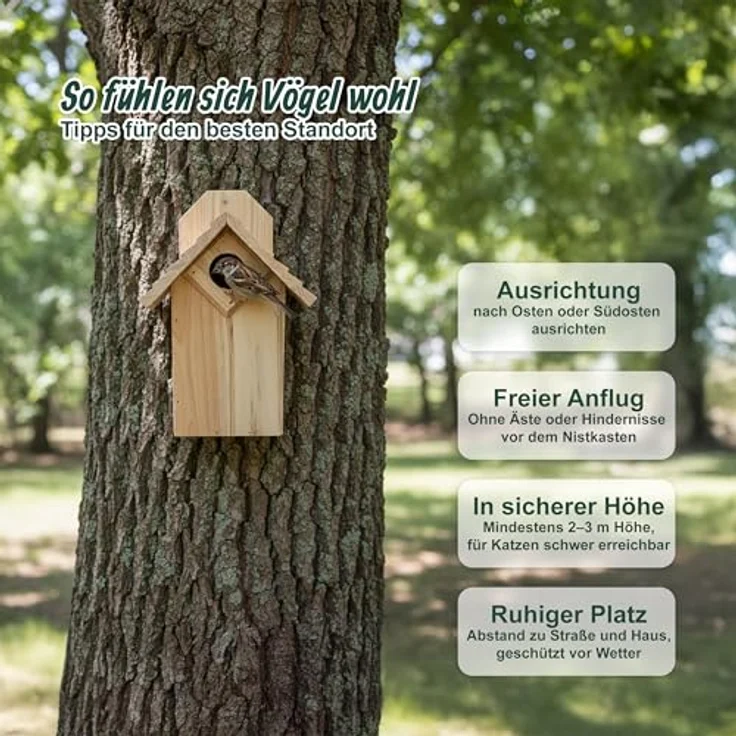 Relaxdays Nistkasten, Vogelhaus für Meisen & Spatzen, Reinigungsklappe, unbehandeltes Holz, HxBxT: 25 x 15,5 x 15 cm – Bild 2