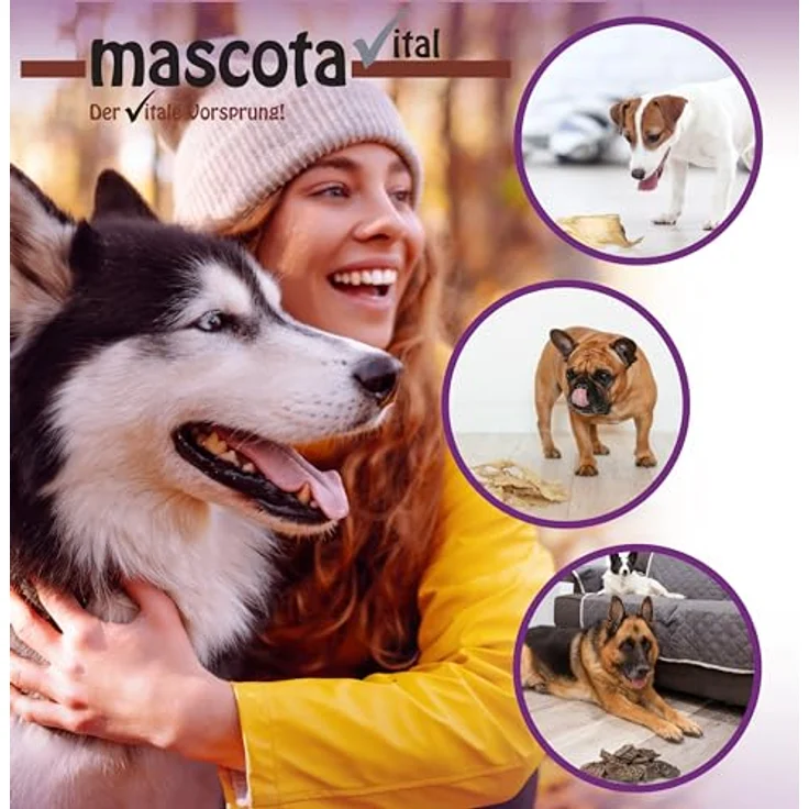 123... Hund dabei! mascota vital – Getrocknete Ziegenhaut für Hunde, 100% Natürlicher Kausnack, Reich an Proteinen, Ohne Zusatzstoffe, Schonend Getrocknet, 200g – Bild 5