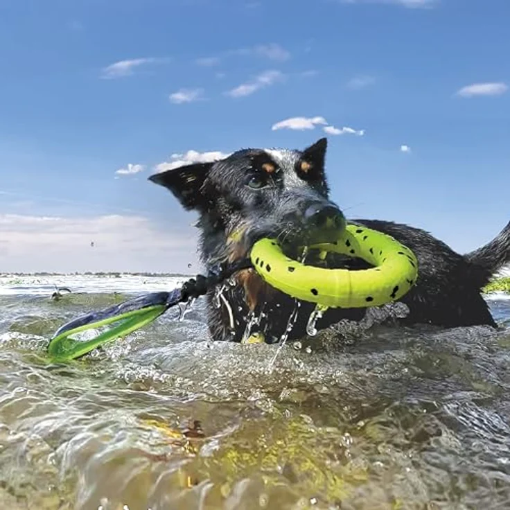 KONG Reflex Zerrspielzeug für Hunde, bissresistenter Beißring mit elastischer Schlaufe, schwimmfähig, grün – Bild 2