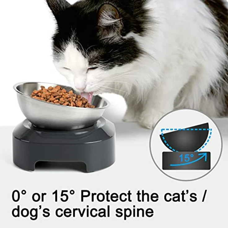 PewinGo Katzennapf Edelstahl mit 15° Kipphals-Schutz, rutschfeste Silikonbasis, maschinenwaschbar, für Katzen und Hunde - Einzelne Schüssel – Bild 2