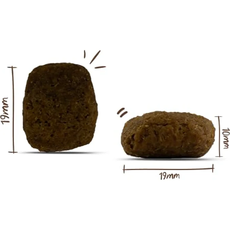Bosch HPC MENUE Adult, Trockenfutter mit 50 % frischem Rind, für ausgewachsene Hunde, 2,4 kg – Bild 3