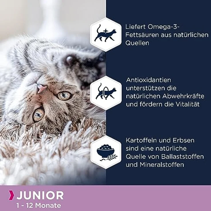 Eukanuba Junior Katzenfutter trocken getreidefrei, Premium Trockenfutter mit viel Lachs und DHA für Kitten, 10 kg – Bild 3