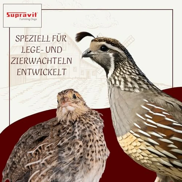 Supravit Wachtelfutter 25kg, Vollwertige Körnermischung für Wachteln und Hühner, ohne Zusatzstoffe, Hergestellt in Deutschland – Bild 5