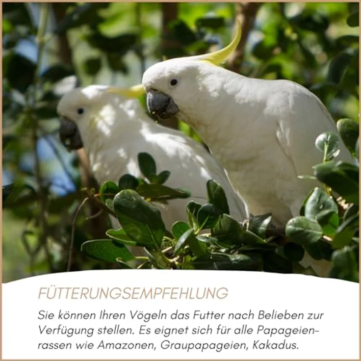 Supravit Papageienfutter 20kg, Premium Saaten- & Körnermischung für Papageien aller Arten, hochwertige Zutaten, hergestellt in Deutschland – Bild 5