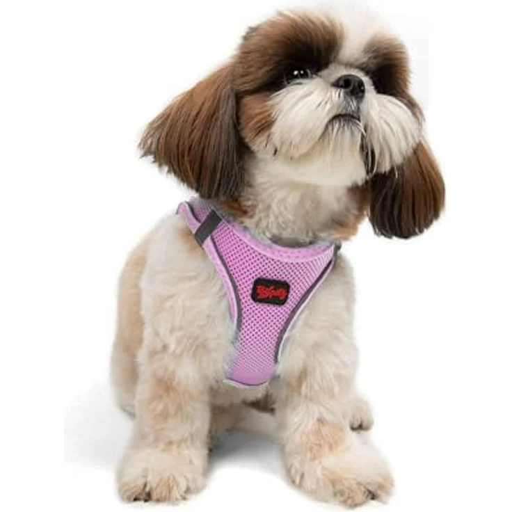 Tailpetz Air-Mesh Brustgeschirr für kleine und mittelgroße Katzen und Hunde – Weich, Atmungsaktiv, Strapazierfähig, Lila, Größe S (Brustumfang 48–53cm) – Bild 1