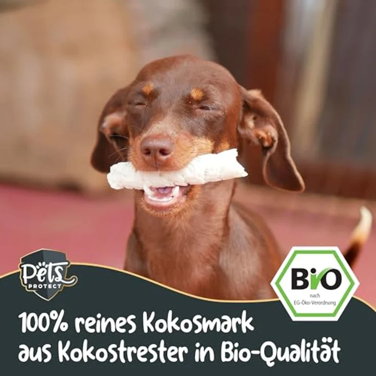 Pets Protect Bio-KOKOSHAPPEN 300 g | Natürliche, getreidefreie Leckerlis für Hund & Pferd | Vegan & ohne künstliche Zusätze | Bio-Qualität aus Deutschland – Bild 2