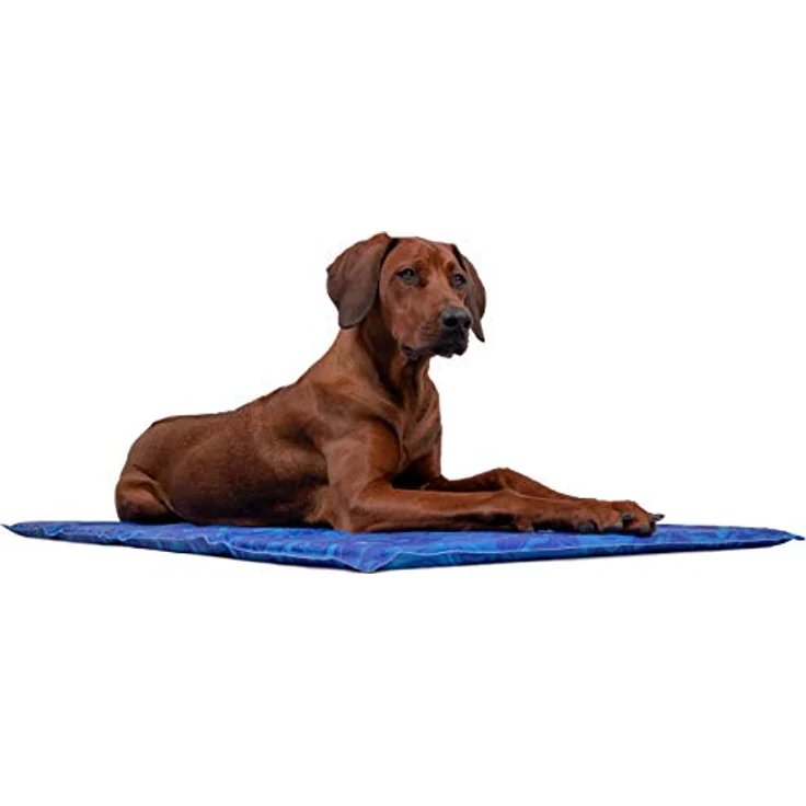 TrendPet Arctic Comfort 20mm Premium Kühlmatte für Hunde, selbstkühlend, extra dick (110x70cm), wasserabweisendes Obermaterial, 5 Größen – Bild 1