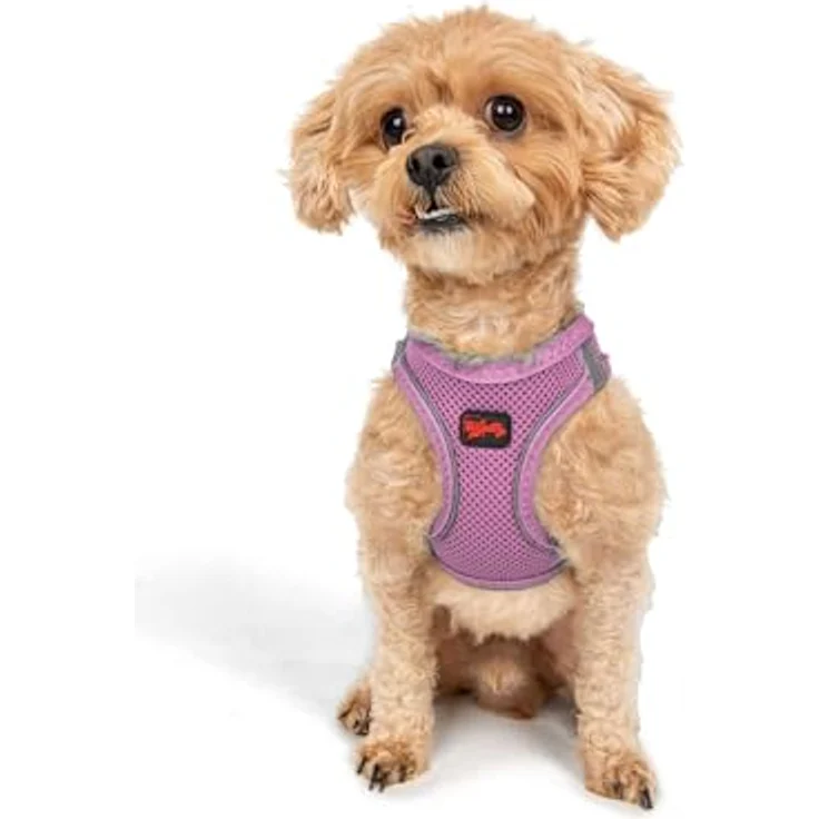 Tailpetz Air-Mesh Brustgeschirr für kleine und mittelgroße Katzen und Hunde – Weich, Atmungsaktiv, Strapazierfähig, Lila, 2XS (Brustumfang 30,5–33 cm) – Bild 1