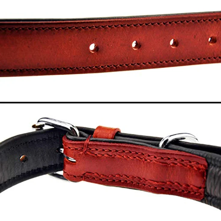Schnüffelfreunde Hundehalsband aus Leder, gepolstert und robust, für große, mittlere und kleine Hunde, XL (46-55cm), rot – Bild 3