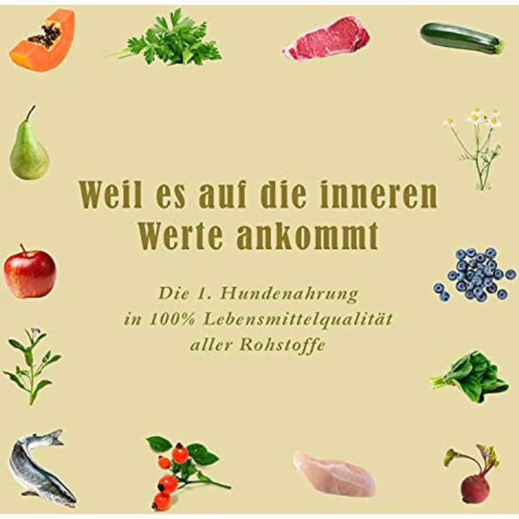 Terra Canis Getreidefreies Nassfutter, Reichhaltiges Premium Hundefutter in Lebensmittelqualität, Wild, Kartoffeln, Apfel und Cranberries, 6 x 800 g – Bild 5