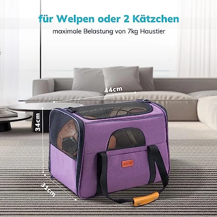 Morpilot Katzentransportbox für große Katzen und Welpen bis 7kg, faltbare Hunde- und Katzentasche mit Sicherheit Reißverschlüssen und atmungsaktivem Netz, in Blau – Bild 2