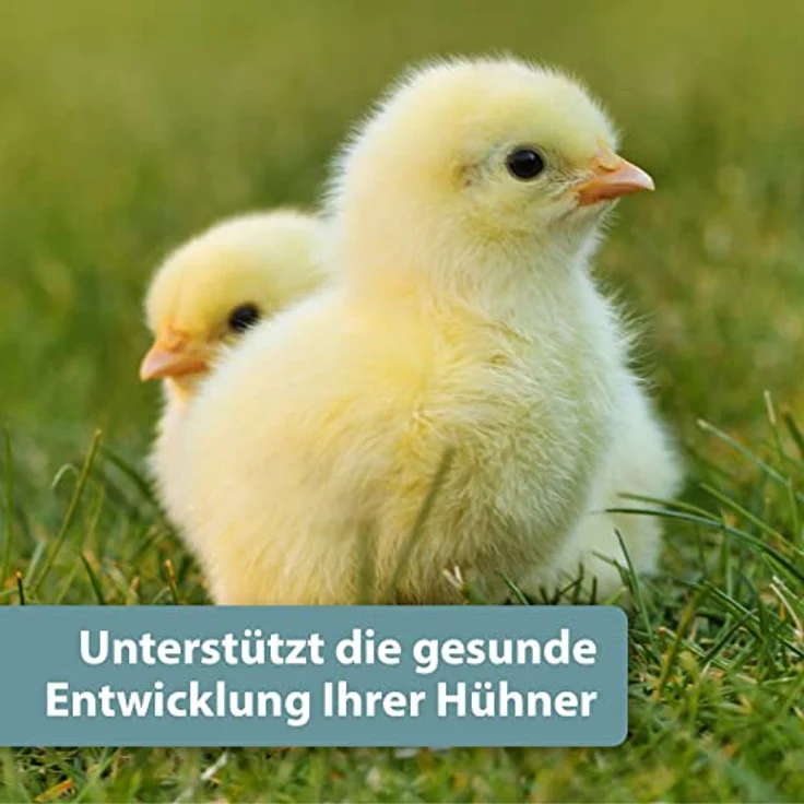 Quiko Hobby Farming Calcium Konzentrat für Hühner, 1.000ml – Hochwertige Calciumversorgung zur Unterstützung der Eischalenbildung, Made in Germany – Bild 3