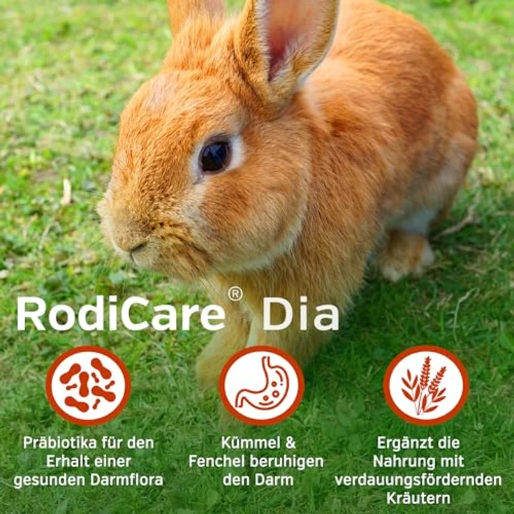 Alfavet RodiCare Dia, Ergänzungsfuttermittel für Zwergkaninchen und Meerschweinchen bei Durchfall, mit Natriumbutyrat, zuckerfrei, 3 Injektoren à 12 ml – Bild 3