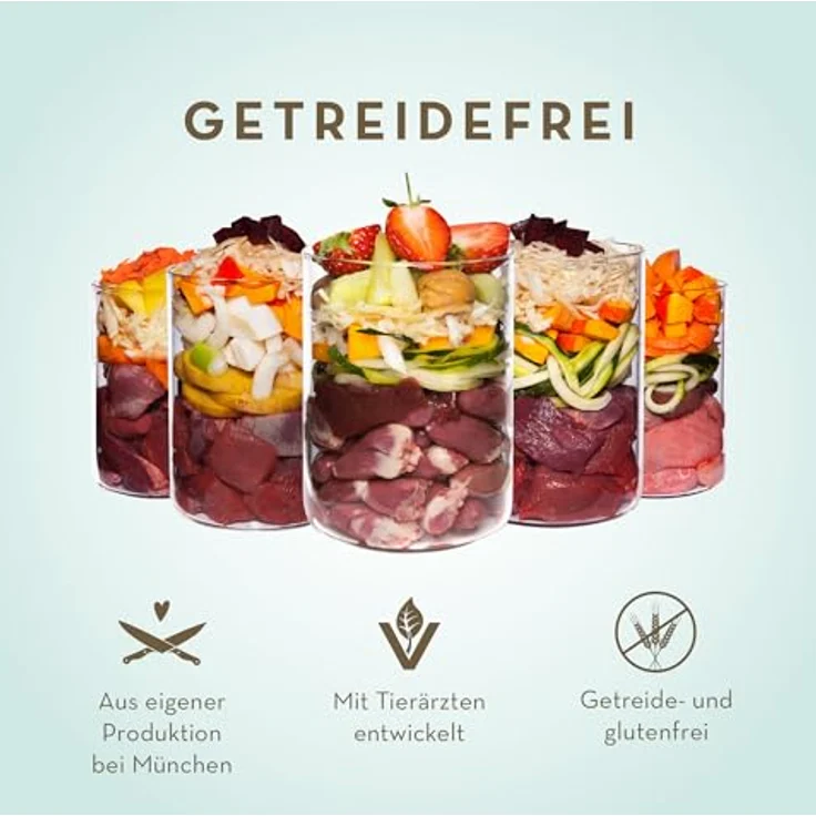Terra Canis Huhn, Pastinake, Brombeere & Löwenzahn, Getreidefreies Nassfutter, 12x200g, 100% Lebensmittelqualität, glutenfrei, reichhaltig und gesund – Bild 3