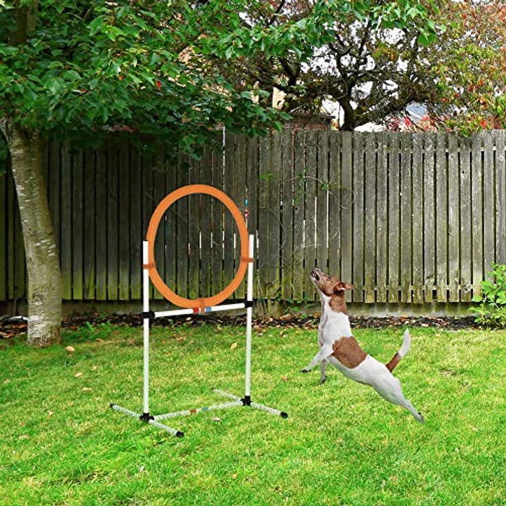 PawHut Agility Sprungring, 2-in-1 Agility Ring und Stangenhindernis mit Tragetasche, Kunststoff, 74,5 x 66 x 91 cm, Weiß+Orange – Bild 2