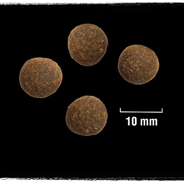 Crave Adult mit Lamm & Rind, Hunde-Trockenfutter mit 35% Protein, 1 kg, ohne Getreide – Bild 7