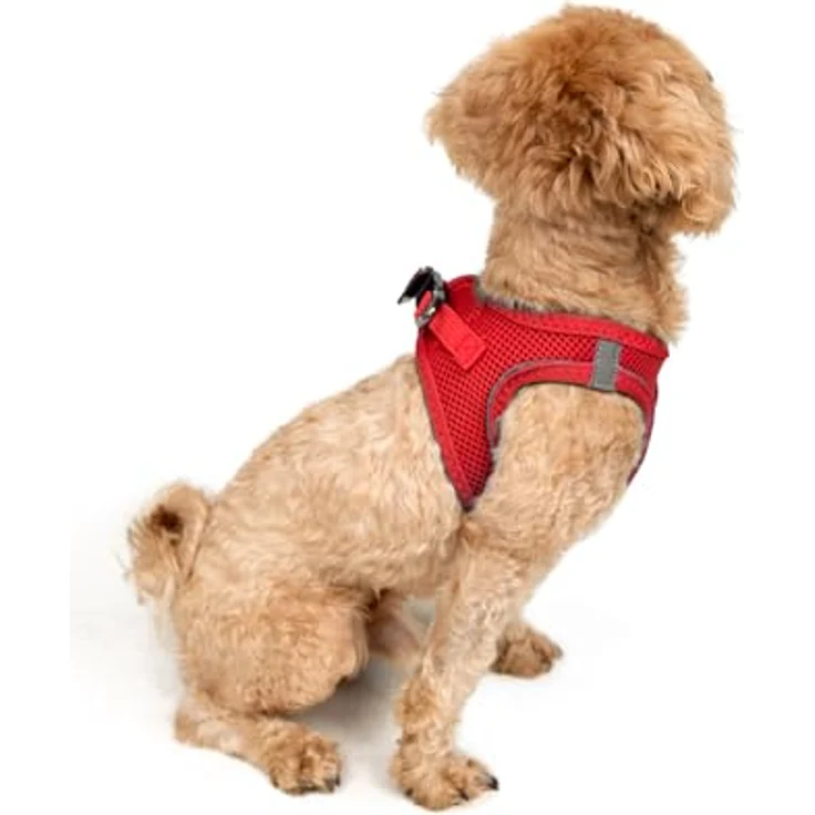 Tailpetz Air-Mesh Brustgeschirr für kleine und mittelgroße Katzen und Hunde – Weich, Atmungsaktiv, Strapazierfähig, Leuchtendrot, 2XS (Brustumfang 30,5–33 cm) – Bild 2
