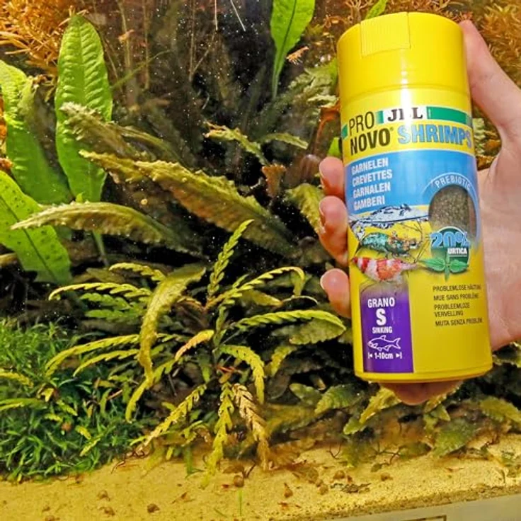JBL PRONOVO SHRIMPS GRANO S, Prebiotisches Garnelenfutter mit extra Brennesseln, 250ml, grün – Bild 5