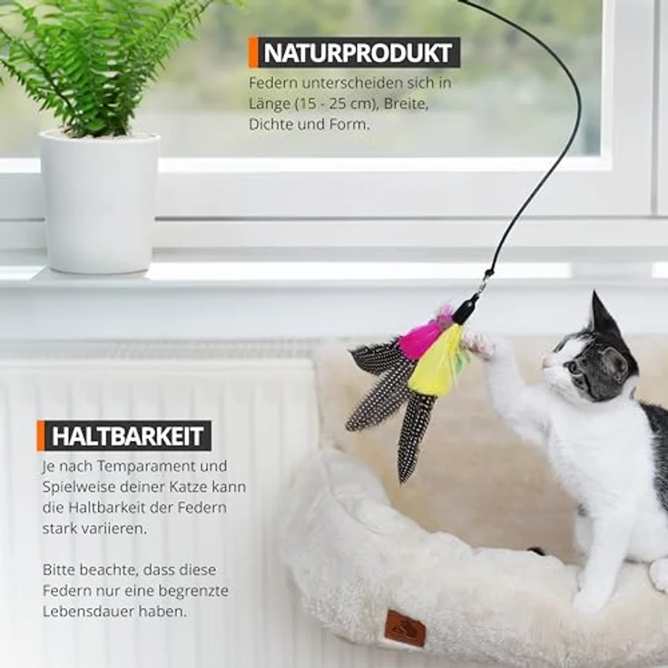 SCHLITZOHR Katzenangel Ersatzfedern Classic, interaktives Katzenspielzeug Zubehör aus echten Federn, 5er Pack – Bild 3