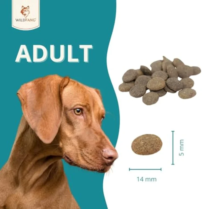 Wildfang® Hundefutter Premium Trockenfutter, Getreidefrei mit 50 % Wild & Lachs, 2 kg, mit Süßkartoffel und Maulbeeren – Bild 5