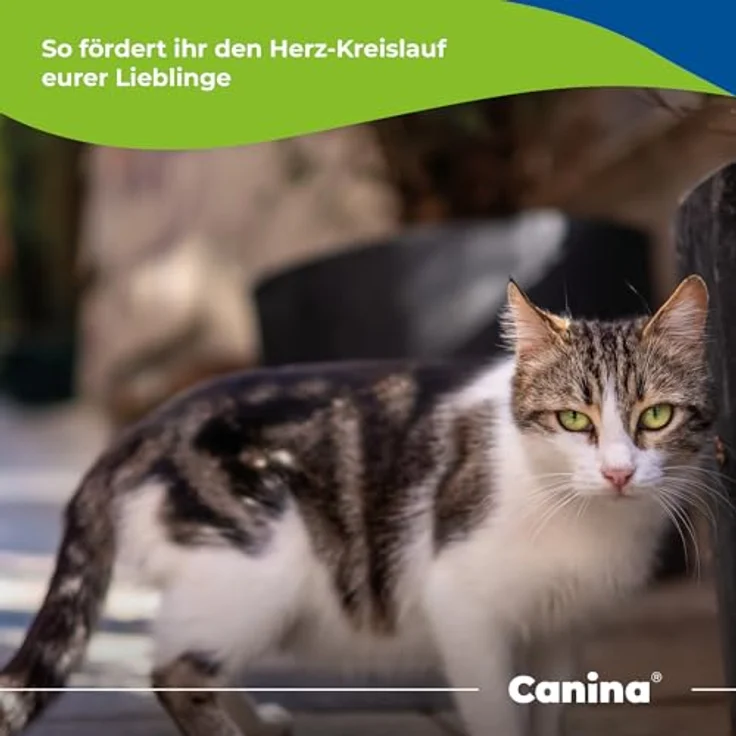 Canina Herz-Vital, 100 ml Hundezusatzfutter zur Unterstützung der Herzfunktion mit Weißdornextrakt und L-Carnitin – Bild 4