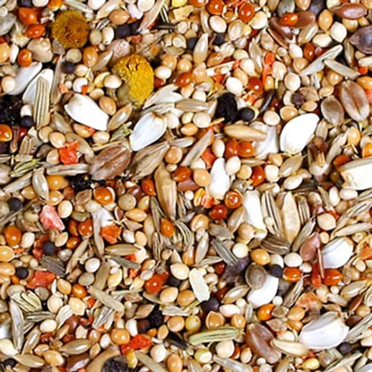 JR FARM Birds Individual Agapornide, artgerechtes Kleintierfutter, 1 kg mit hochwertigen Saaten und ohne künstliche Zusätze, Made in Germany – Bild 2