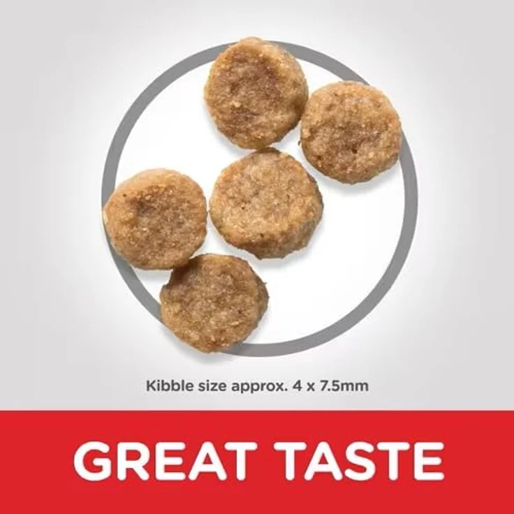 Hill's Science Plan Small & Miniature Senior 7+, Trockenfutter für Hunde, Huhn, 3 kg, unterstützt Herz- und Nieren­gesundheit – Bild 3