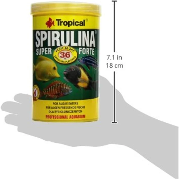 Tropical Super Spirulina Forte (36%) Flockenfutter für Meerwasserfische, 1 l Packung zur Unterstützung des Immunsystems – Bild 4