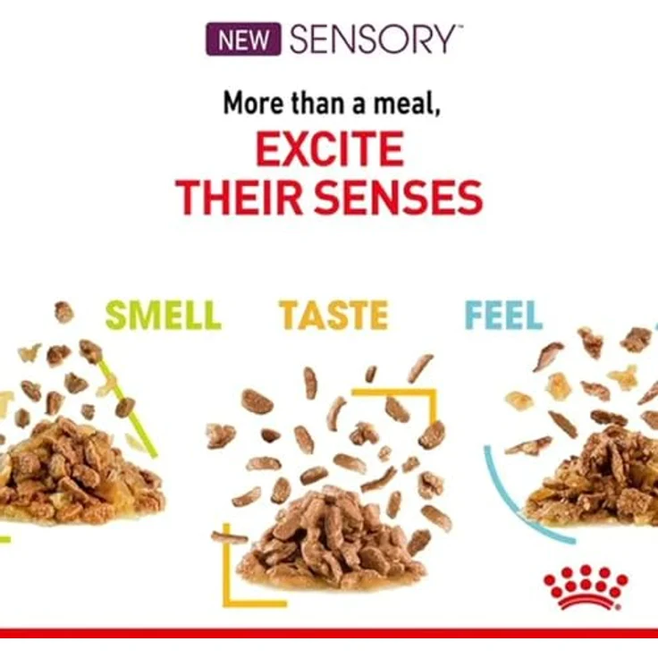 Royal Canin Sensory Smell Taste Feel Multibox, 12 x 85 g, Alleinfuttermittel für ausgewachsene Katzen, stimuliert die Sinne, mit feinen Stückchen in Soße – Bild 3