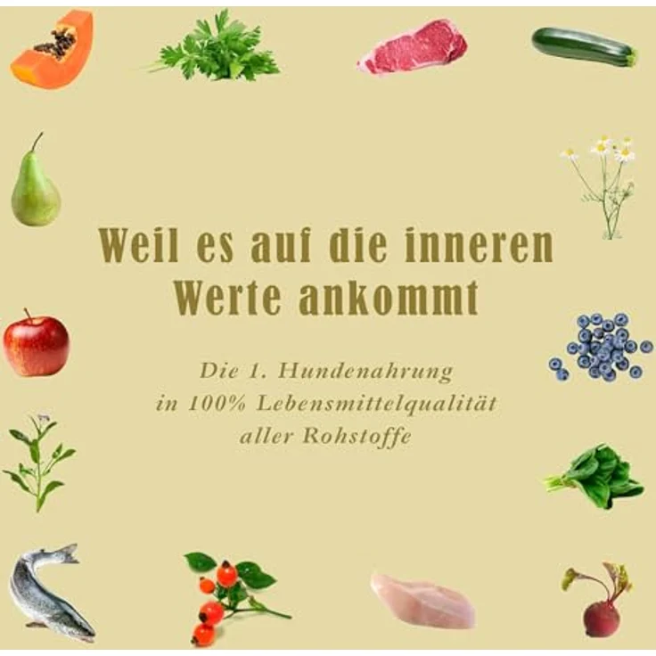 Terra Canis Kalb mit Hirse, Gurke, gelber Melone und Basilikum - Classic Nassfutter in 100% Lebensmittelqualität, glutenfrei, 800g – Bild 4