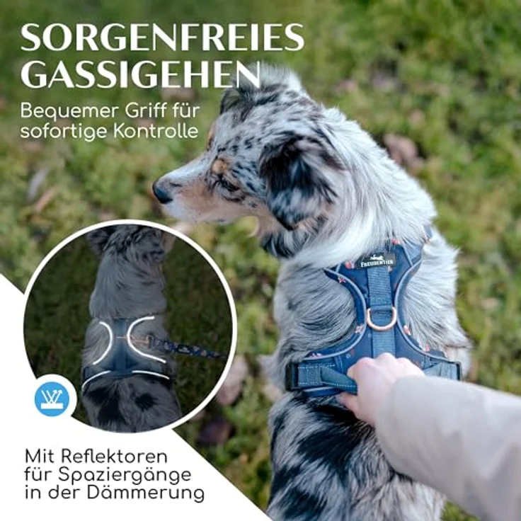 FREUDENTIER Hundegeschirr Let's get Foxy, mit Griff & atmungsaktiver Polsterung, Anti-Zug-Funktion, robust und wasserabweisend, verschiedene Größen verfügbar – Bild 5