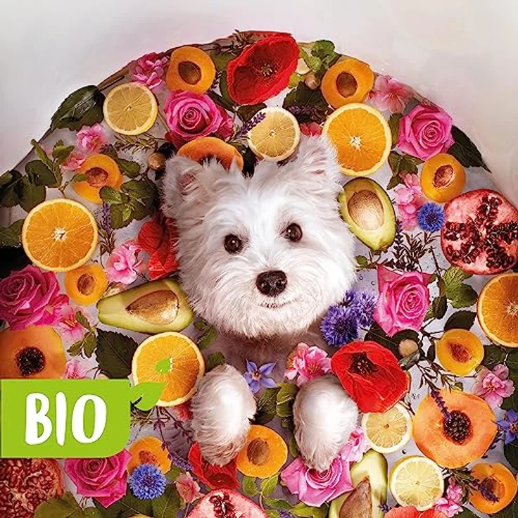 beaphar Bio Shampoo Sensitive für Hunde, mit Johanniskraut und Cassis aus biologischem Anbau, 200 ml, Weiß – Bild 3