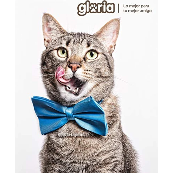 Gloria Kratzbaum für Katzen Gloria Rin, 80 cm hoch, Brauner Sisal-Kratzbaum zur Möbelsschonung – Bild 2