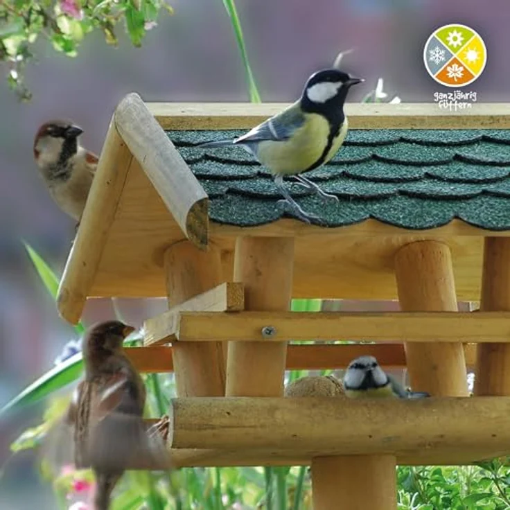 Dobar 48100 GroßŸes Vogelhaus aus massivem Nadelholz mit grünem Bitumenschindel-Dach inklusive Ständer – Bild 6