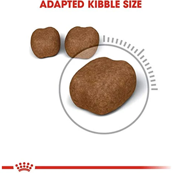 Royal Canin Oral Care 30 Katzenfutter, 8 kg – Trockenfutter zur Zahnreinigung und Harnwegsgesundheit, einzigartige Krokettentextur – Bild 4